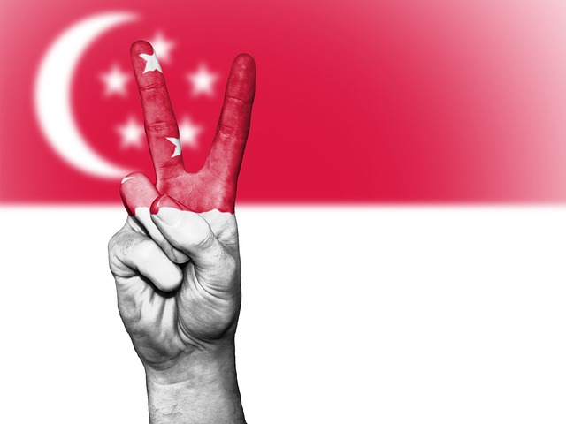 Singapore visa agent in delhi